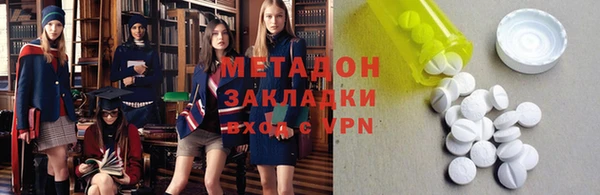 индика Вяземский