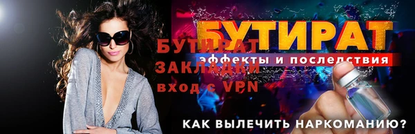индика Вяземский
