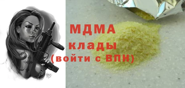 индика Вяземский