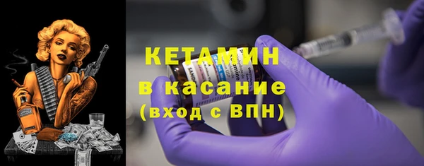 индика Вяземский