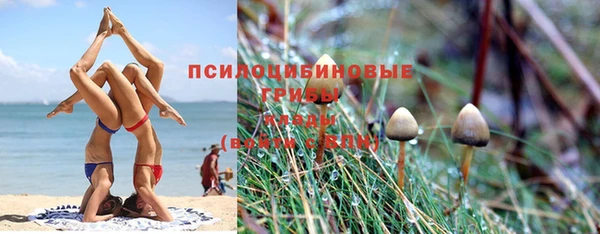 бошки Волосово
