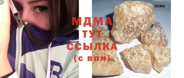 индика Вяземский