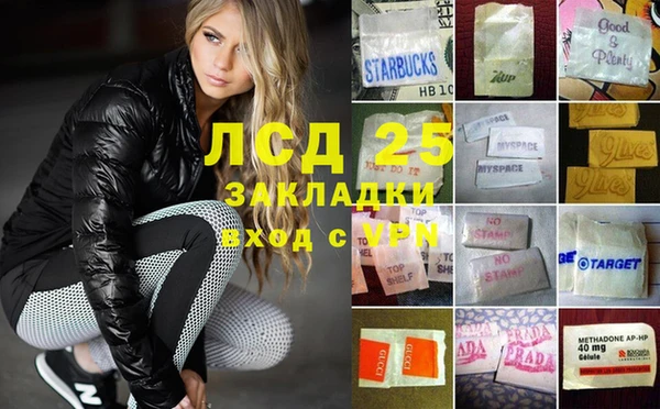 индика Вяземский